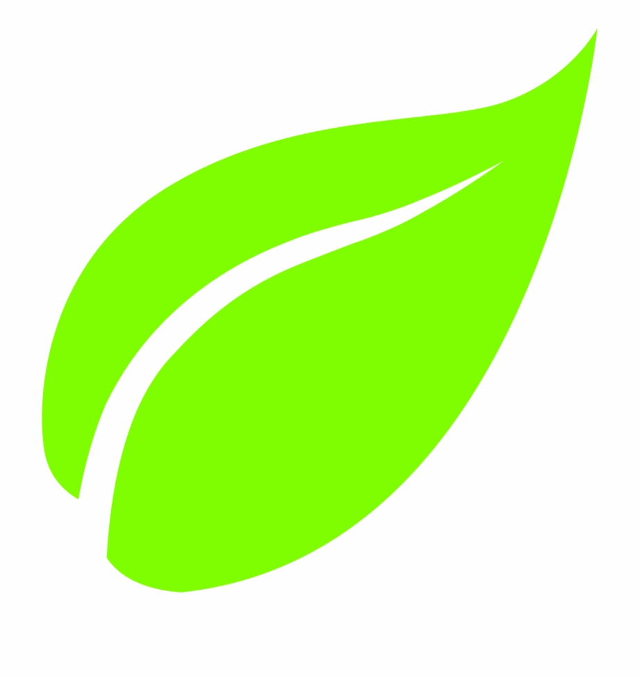 Leaves icon. Листья вектор. Логотип с листочком. Листик иконка. Значок зеленый листик.