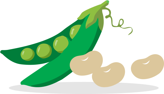 Pea Clipart Green Veggy Vegetables And Legumes Clipart