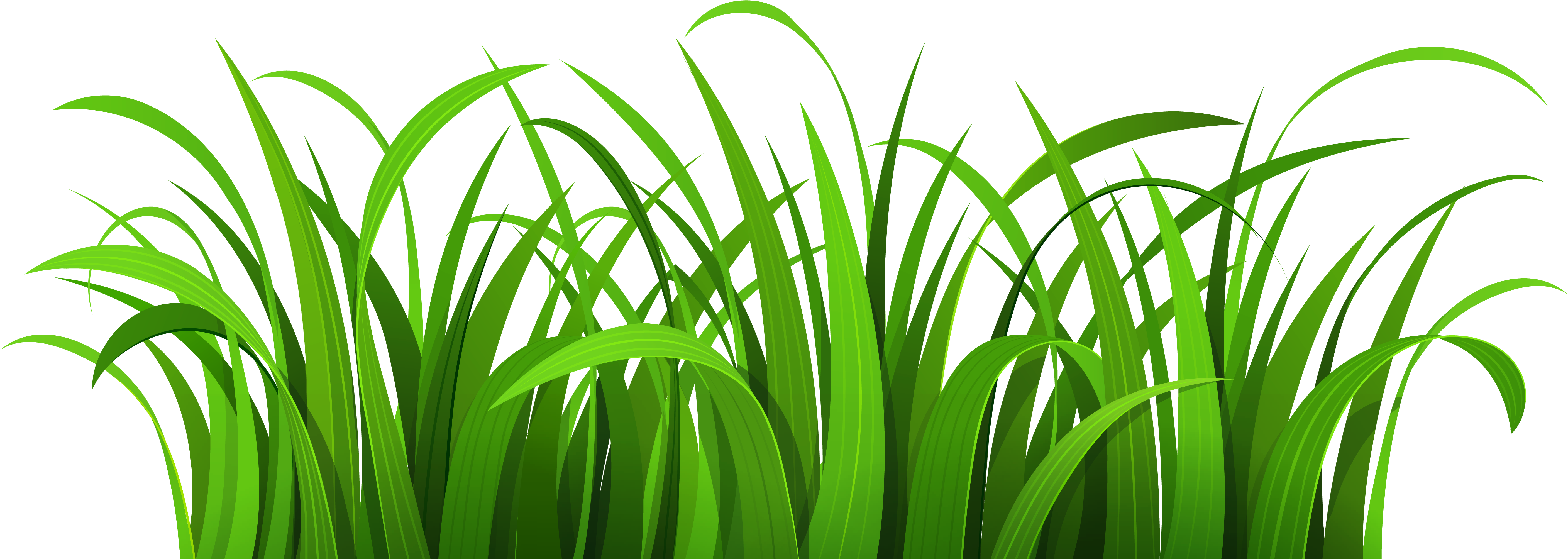 Free Transparent Grass Clipart Download Free Transparent Grass Clipart 