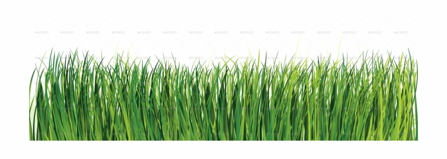Conceptual Vectors Sweet Grass
