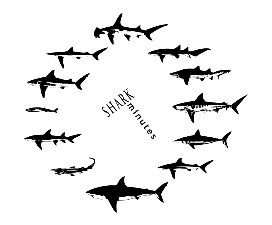 The Updated Shark Minutes Logo And T Shirts