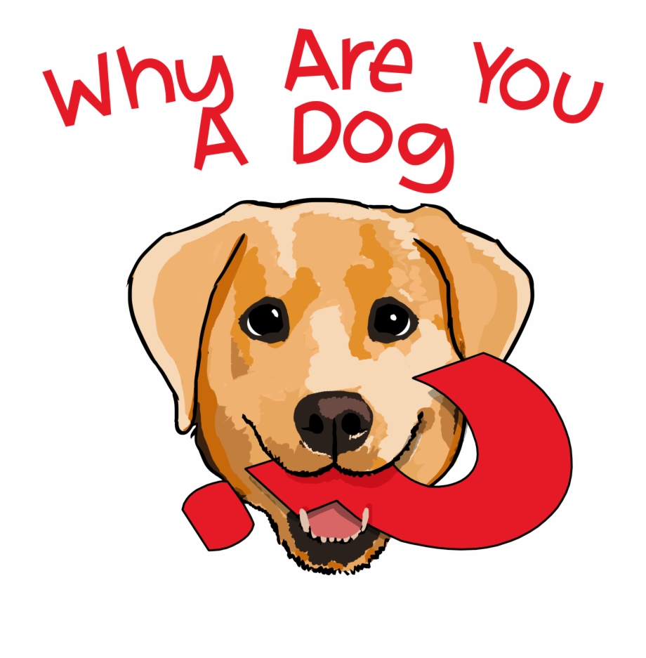Why Are You A Dog Podcast You A