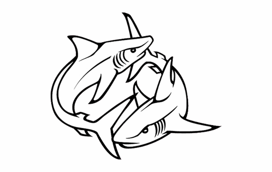 Shark Fish Tattoo Design Photo Two Shark Tattoo