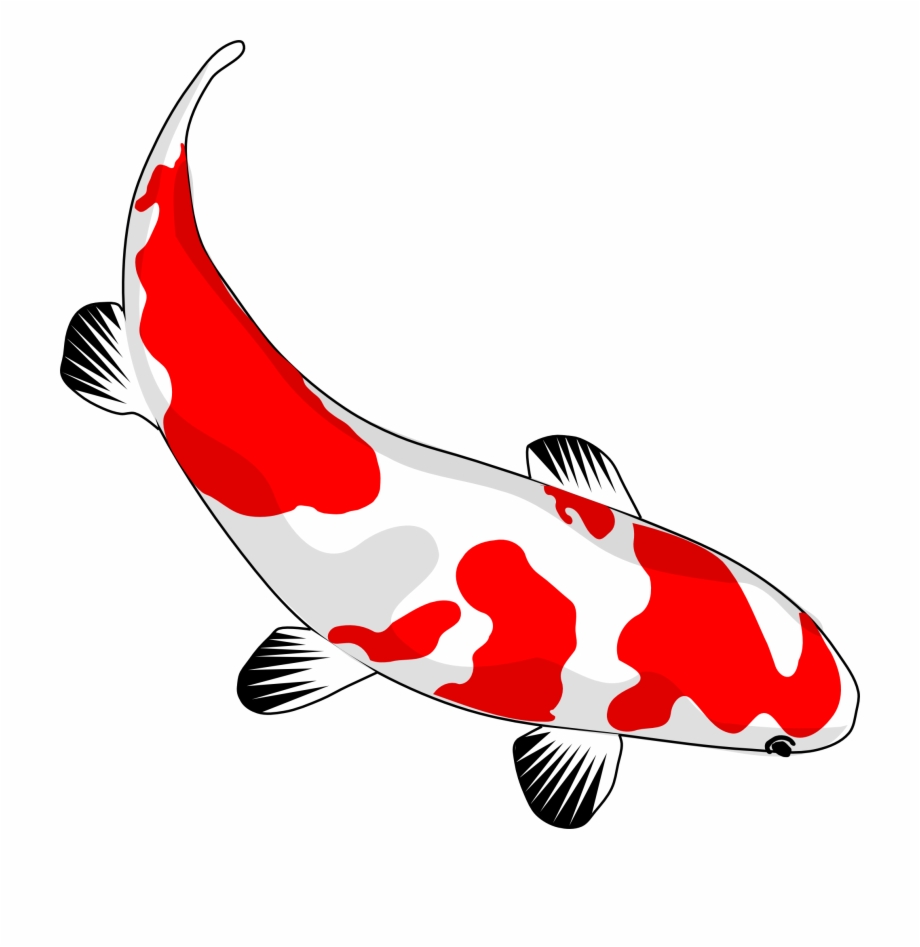 Koi Fish Clip Art Png Pinterest Koifishclipartpng 