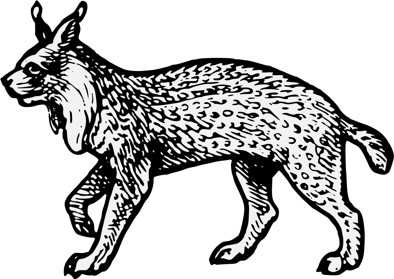 Wildcat Lynx Cougar Cheetah - lynx png download - 1768*1280 - Free ...