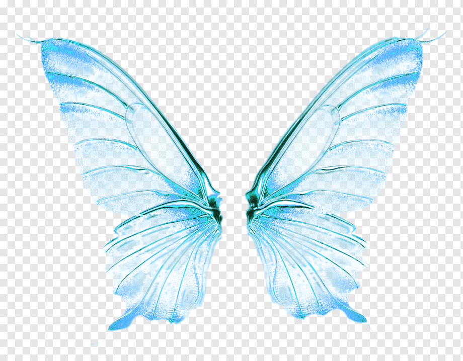 Sticker Butterfly Wings Wing Fairy Fairywings Png Wings