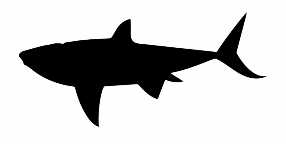 shark shape png
