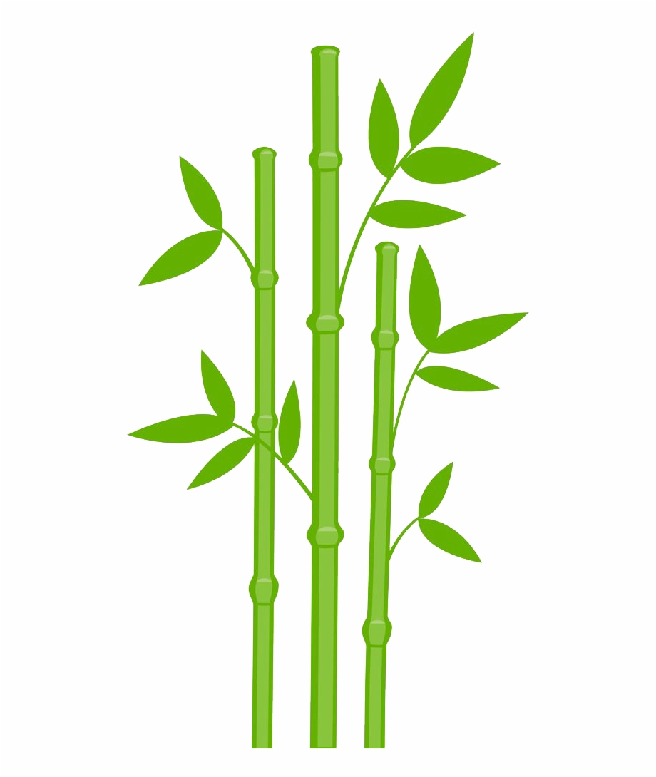 Bamboo Drawing Leaves Bamboo Clipart