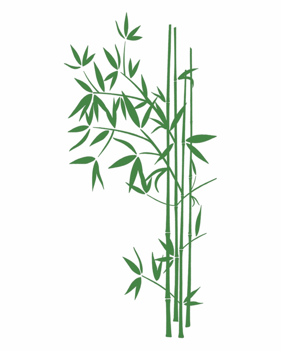 Bamboo Leaves Transparent Bamboo Art High Resolution