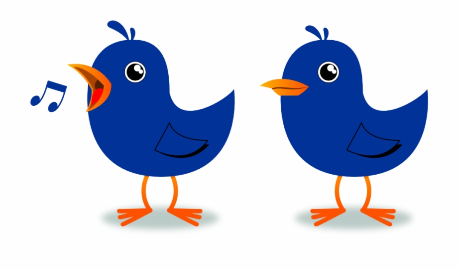 Twitter Birds Singing Musical Powder Blue Dingle Peacesymbol