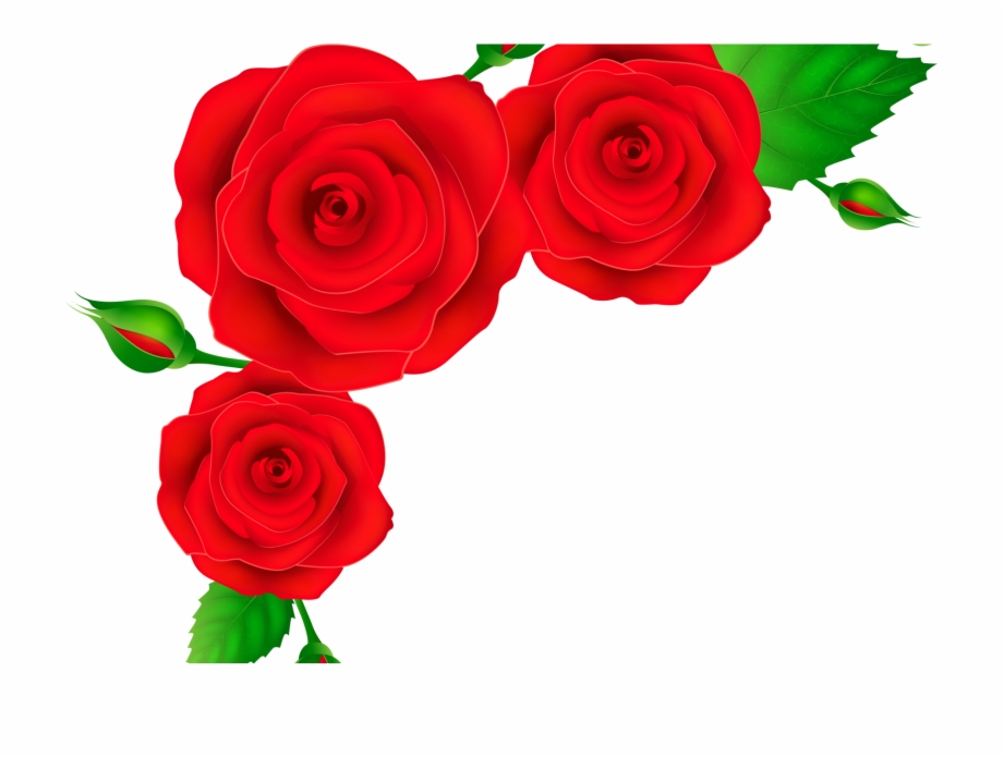 red roses clip art
