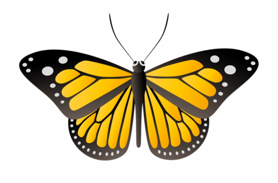 Free Png Download Butterfly Yellow Clipart Png Photo