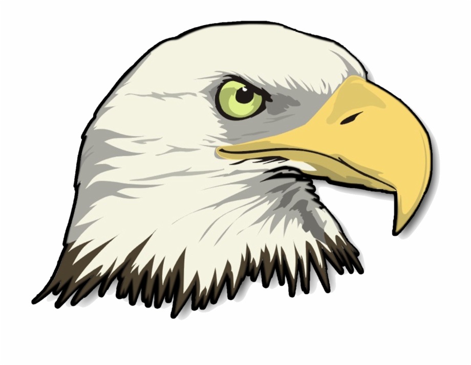 Png Stock Eagle Head Transparent Image Bald Eagle