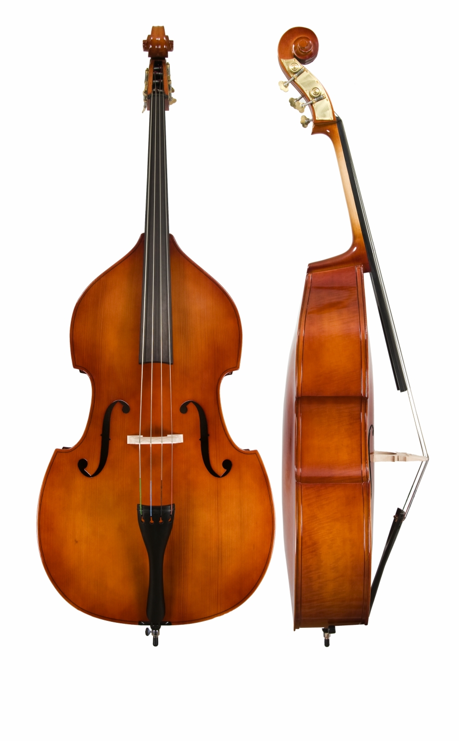 Upright Bass Png Double Bass Png