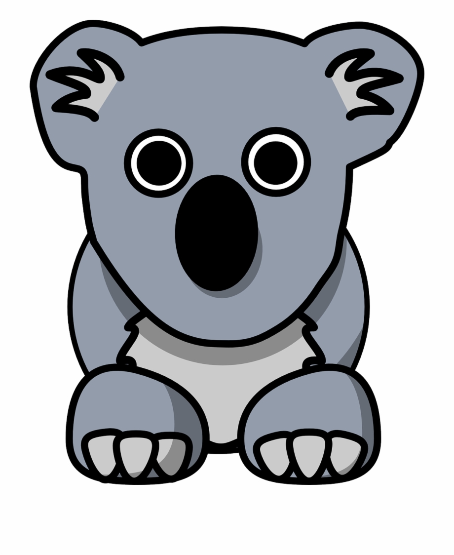 Koala Animal Cute Grey Bear Png Image Koala