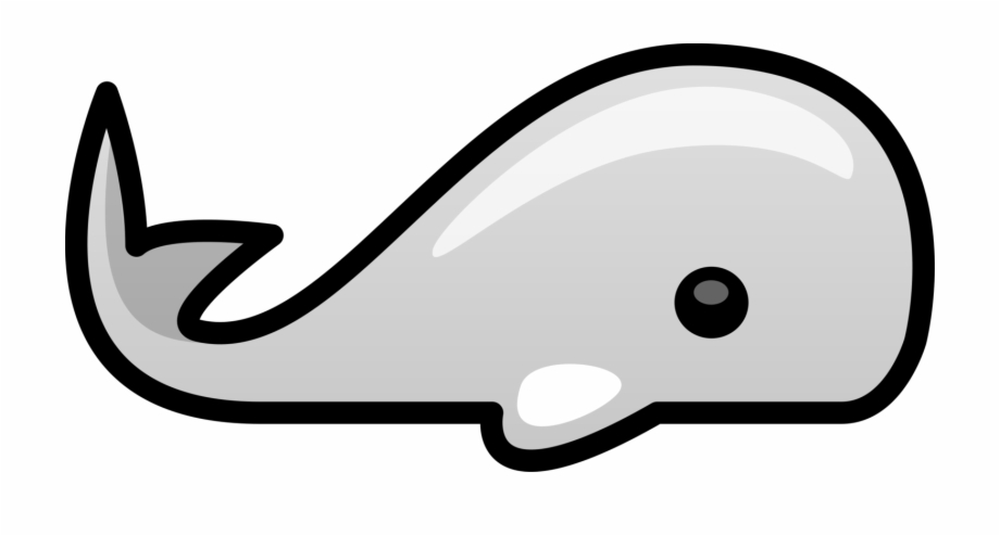 clip art coloring picture of blue whale
