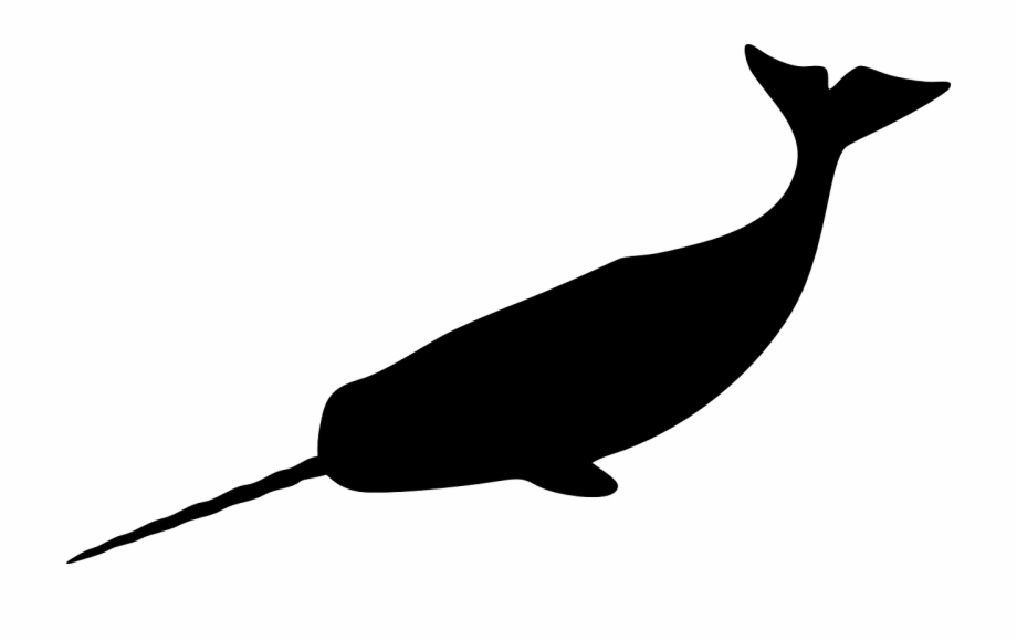 Narwhal Tusk Mammal Whale Png Image Narwhal Silhouette