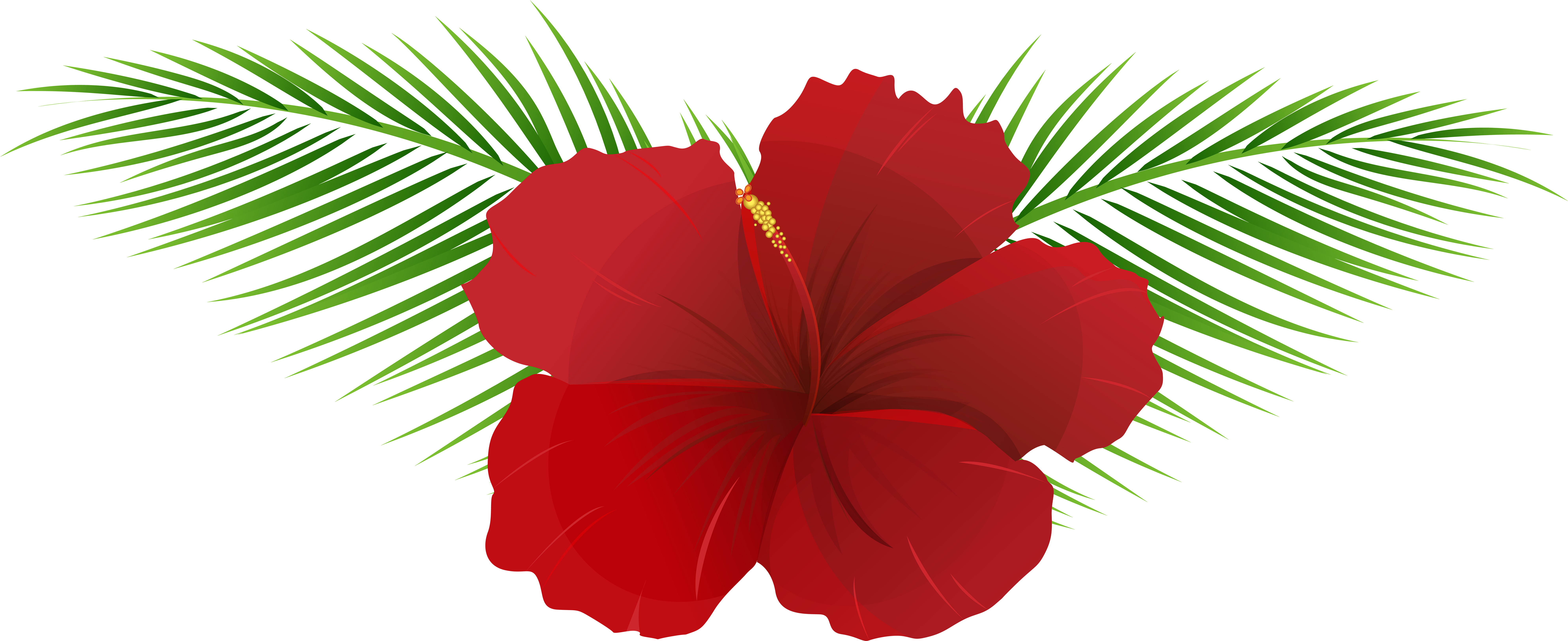Transparent Tropical Flower Border Png : If you like, you can download ...