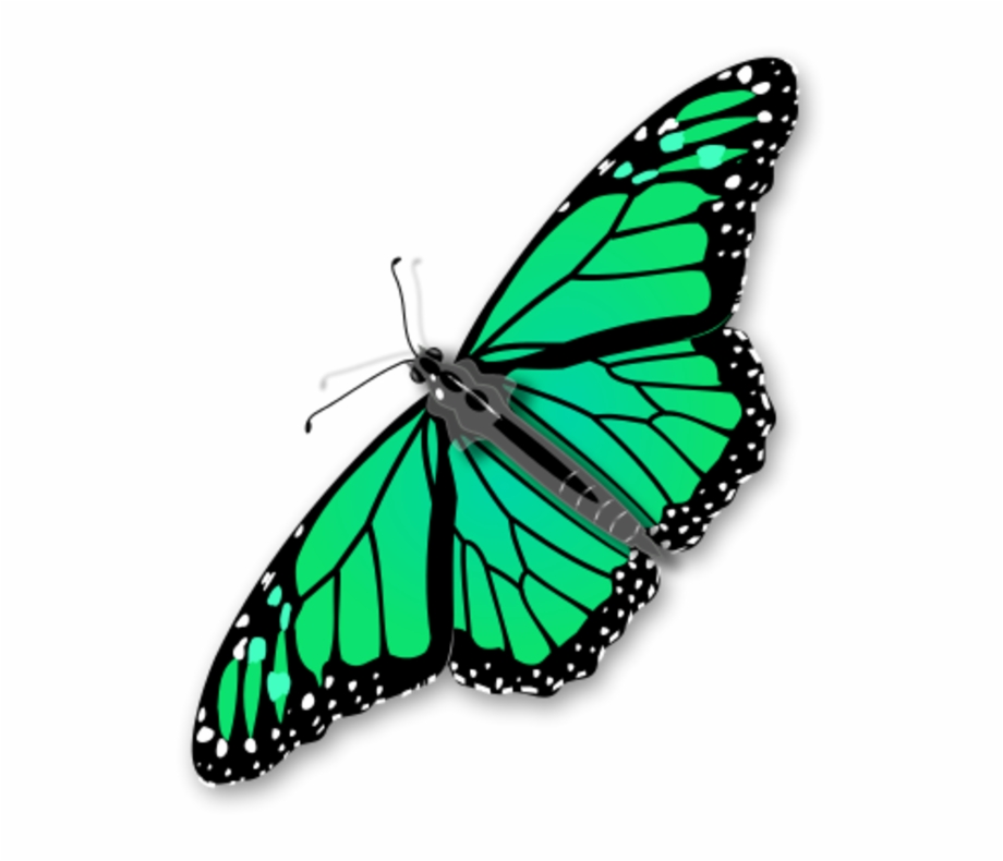 Monarch Butterfly Vector Clip Art Transparent Background Butterfly