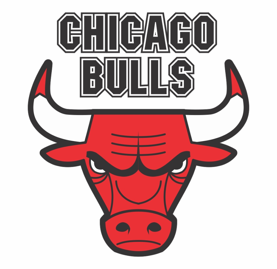 Chicago Bulls Basketball Experience Teamlink Chicago Bulls