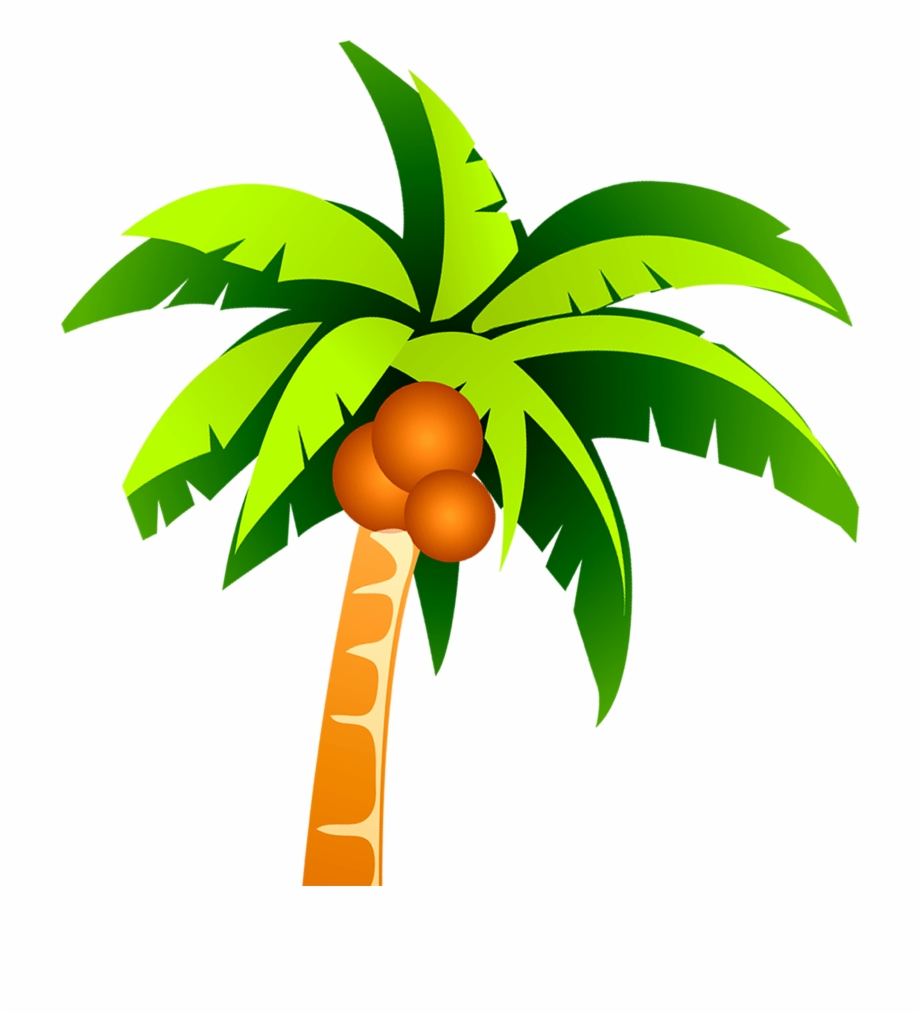 Coconut Tree Arecaceae Plant Food Png Image With