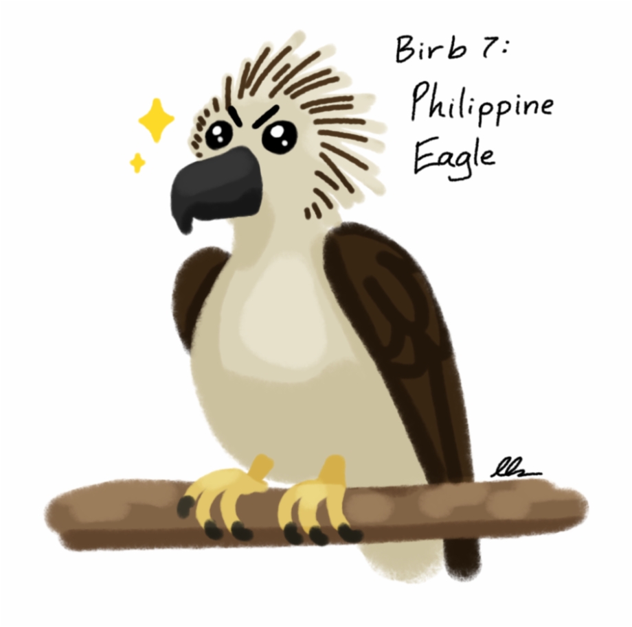 Graphic Black And White Decembirb Philippine Eagle Parrot