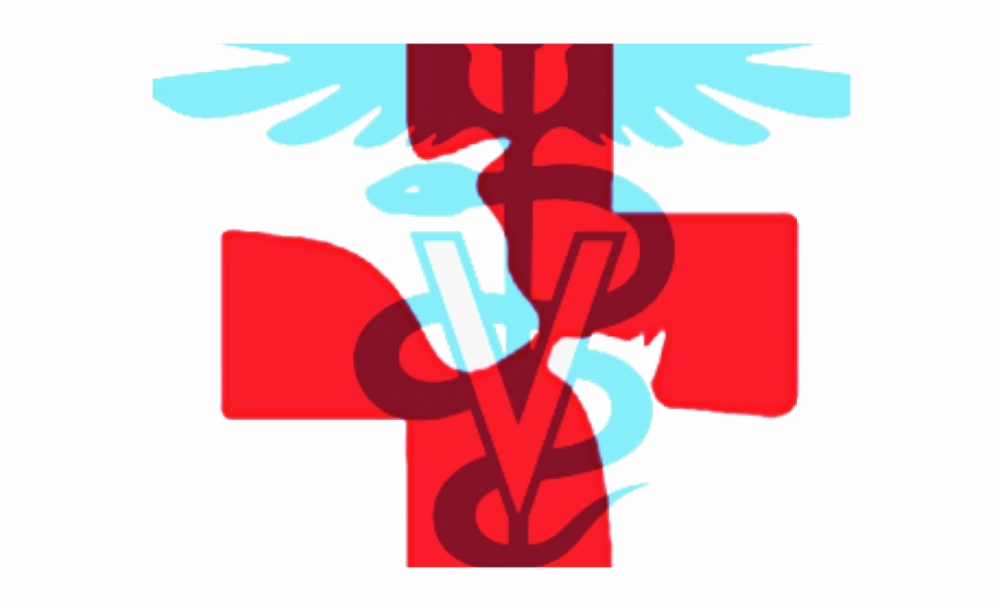 Doctor Symbol Clipart Hospital Veterinary Symbol
