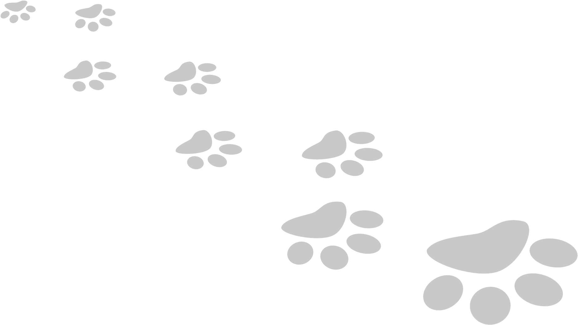 Free White Paw Print Transparent Background, Download Free White Paw Print  Transparent Background png images, Free ClipArts on Clipart Library
