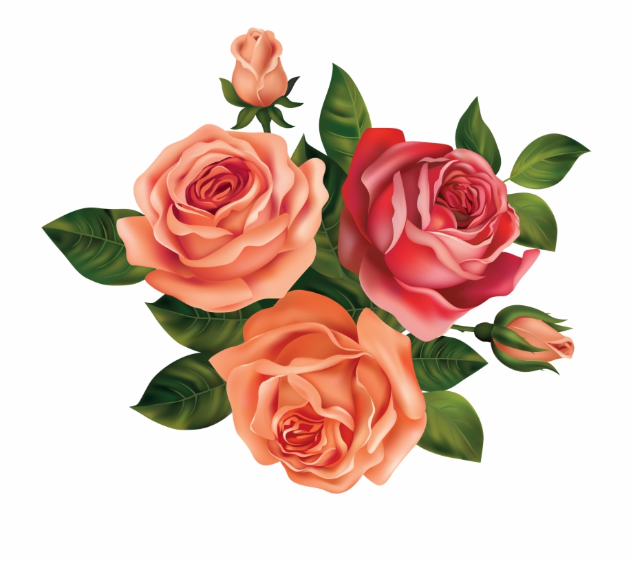 Drawing Rose Beautiful Flower Rose Flowers Clip Art