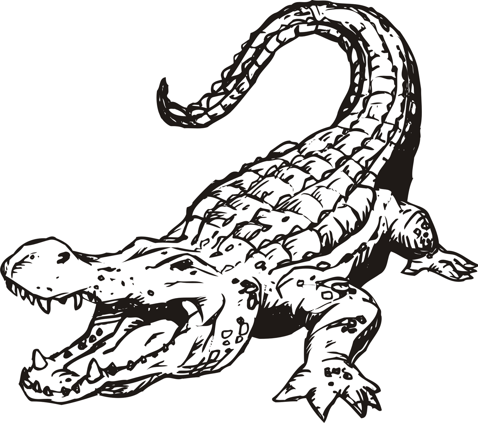 Alligator Clipart