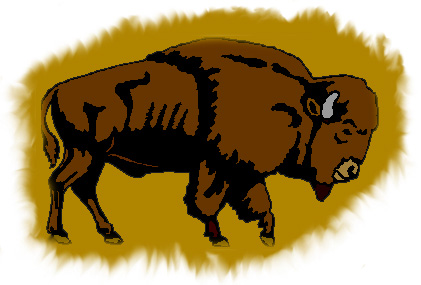 Buffalo mascot clipart kid 2
