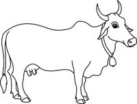 Cow free black and white animals outline clipart clip art pictures