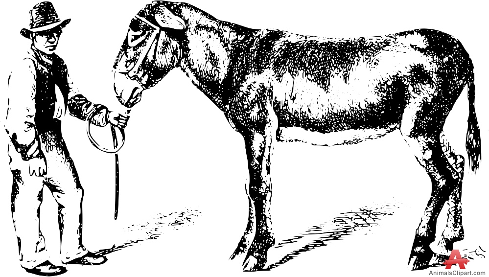 Donkey Clipart