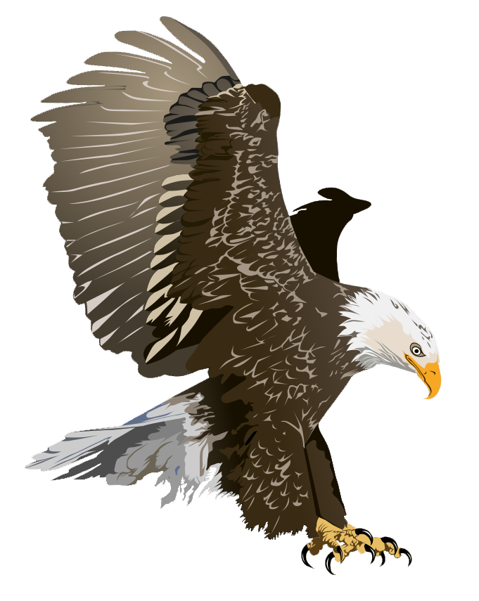 Symbolism and Beauty: The World of Eagle Clip Art