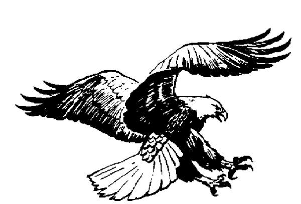 black and white eagle clip art - Clip Art Library