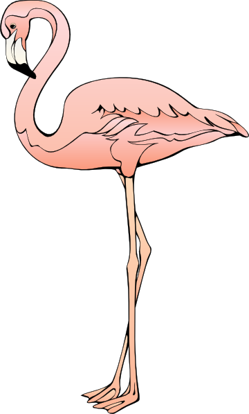 Flamingo free to use cliparts 2