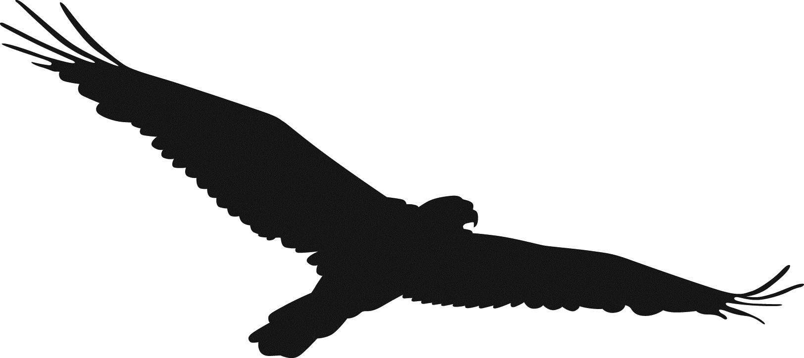 flying hawk silhouette