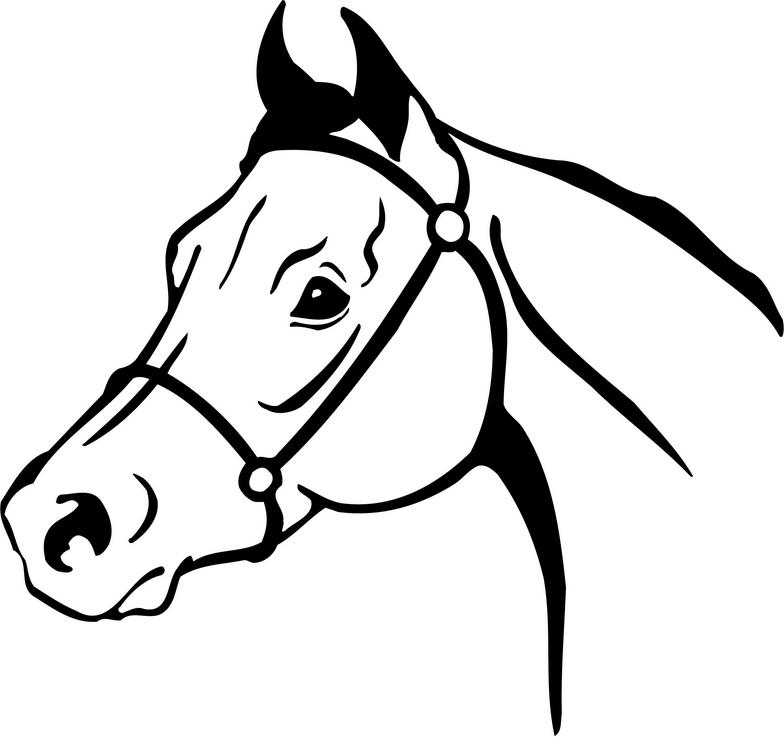 Horse head clip art vectors download free vector art image