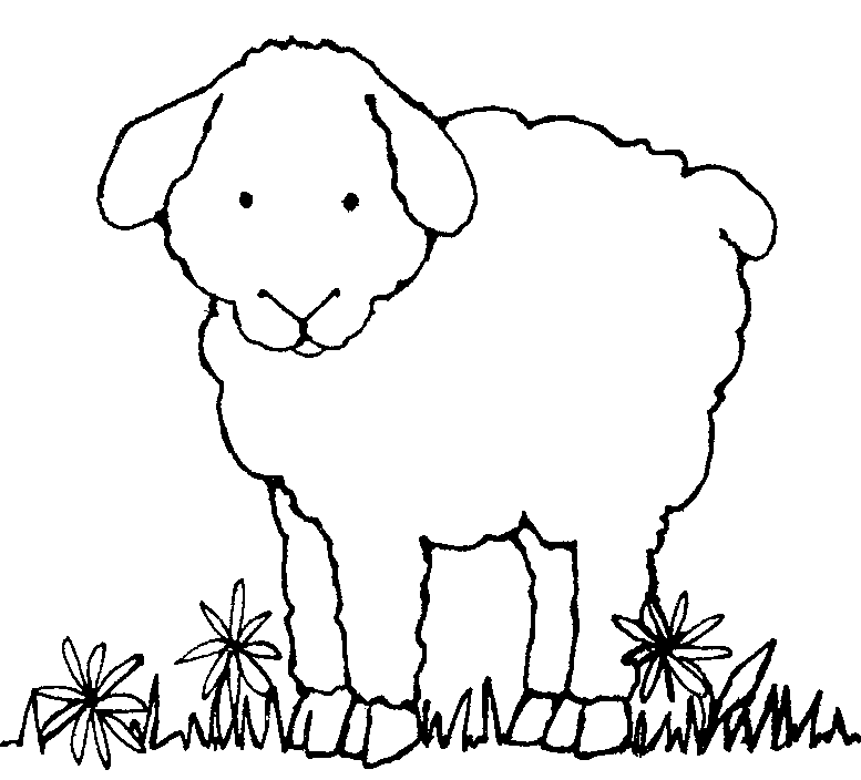 Lamb black and white sheep clipart clipart kid