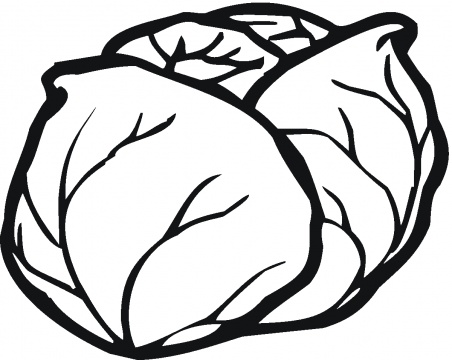 Free Lettuce Clipart Black And White, Download Free Lettuce Clipart ...