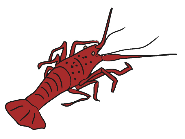 Lobster clip art animal clipart cliparts for you