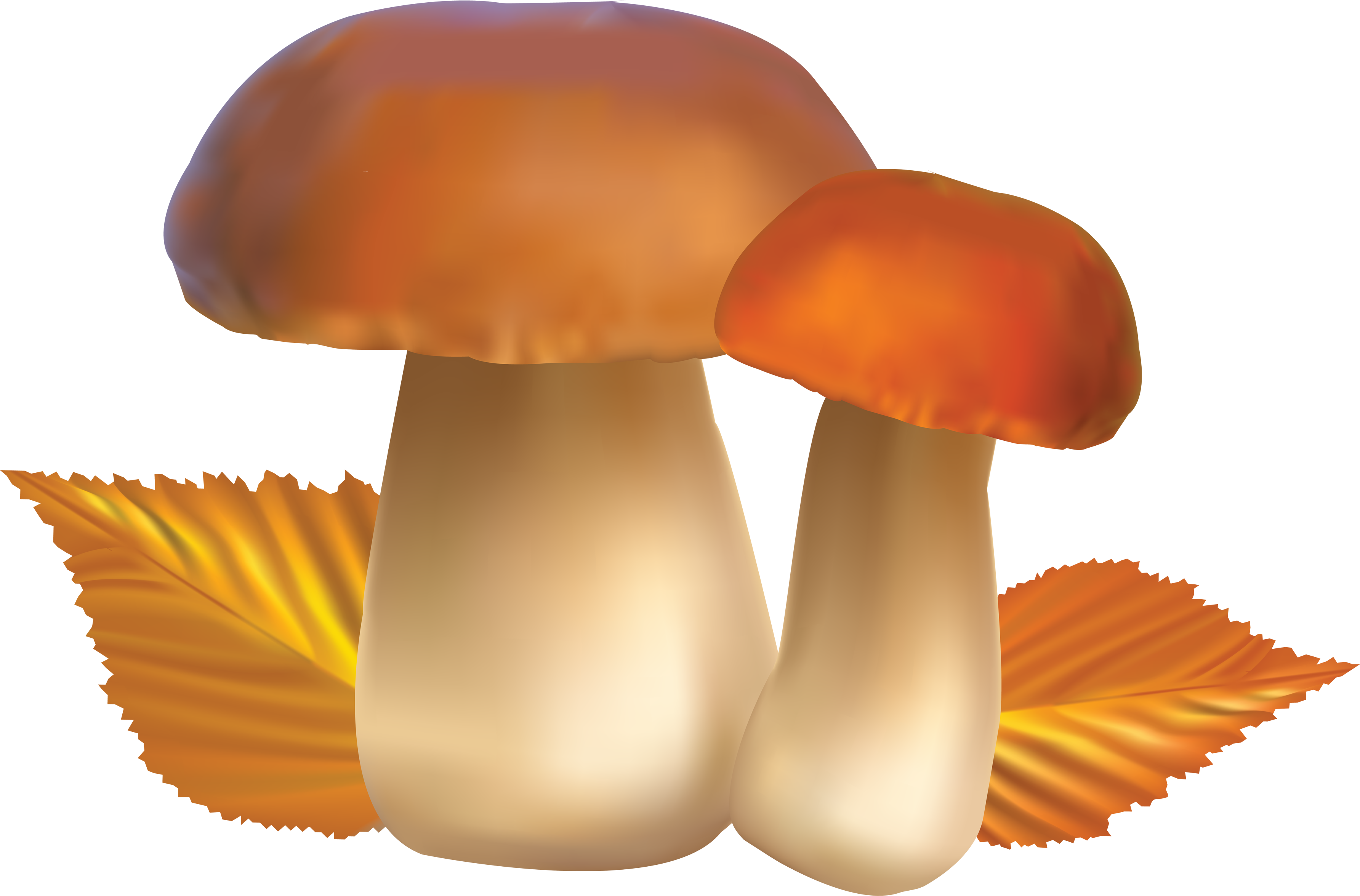 Mushroom clipart bing images mushrooms image