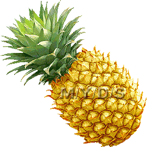 Pineapple clipart free clip art image 9 2
