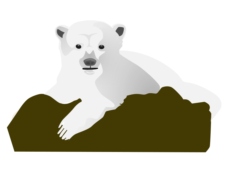 Polar bear Cartoon Clip art - Polar Bear Transparent Clipart png ...
