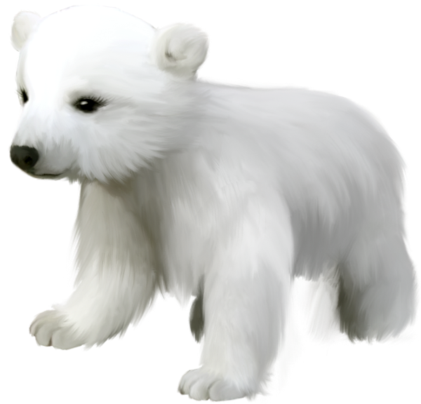 Free Transparent Polar Bear, Download Free Transparent Polar Bear png ...