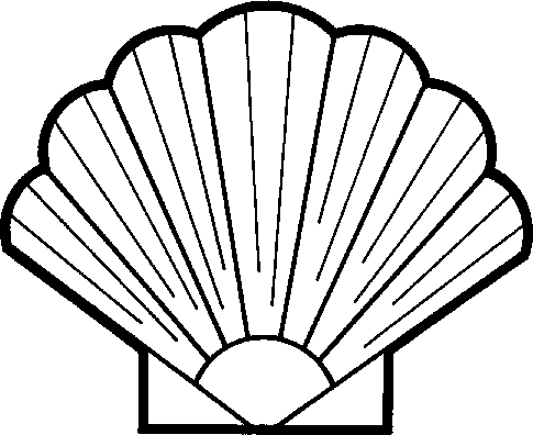 Seashell shell clipart image