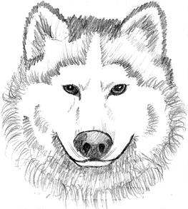 Free wolf clipart 2