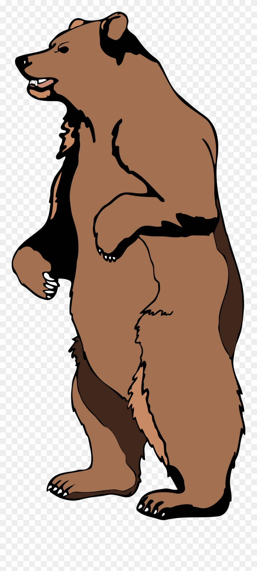 grizzly cliparts