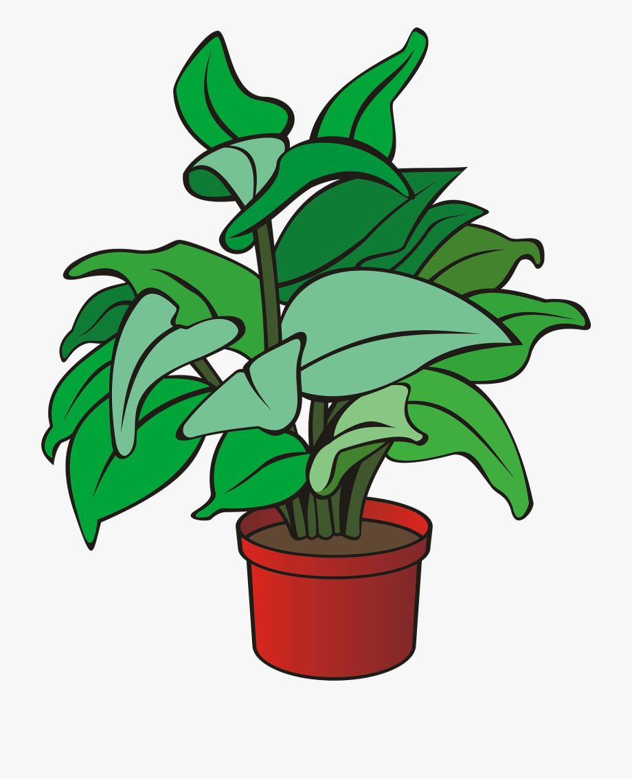 pot plant clipart - Clip Art Library