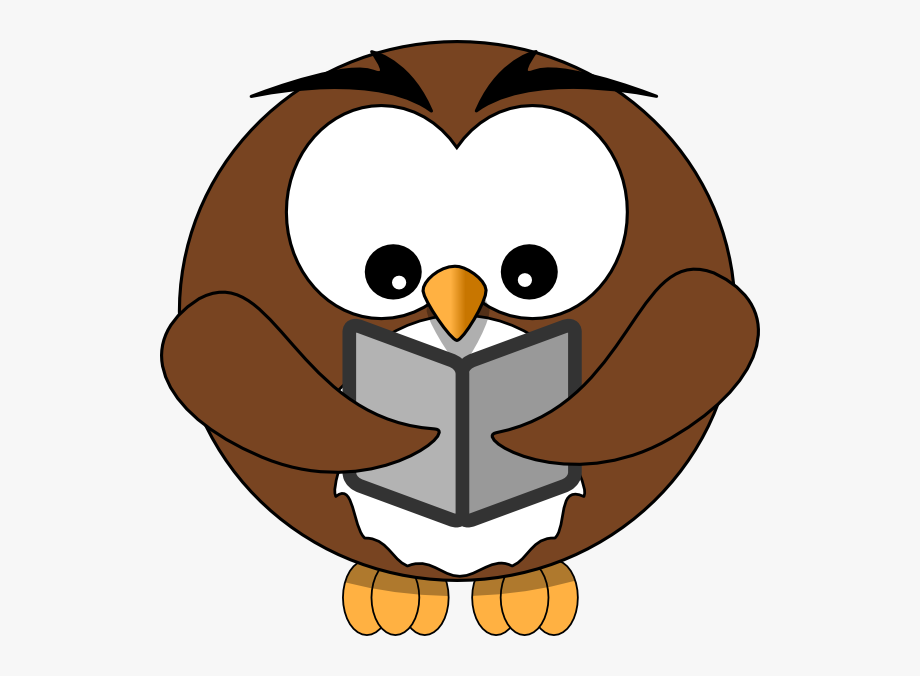 A cartoon brown owl with large white eyes and an orange beak is holding and reading a gray book.